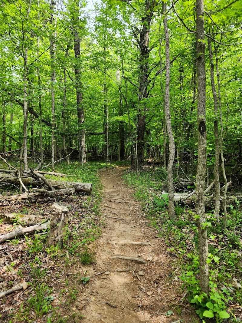 Duck Island Trail Steals Hearts With Easy Lakeside Beauty Duck Island Trail Steals Hearts With Easy Lakeside Beauty
