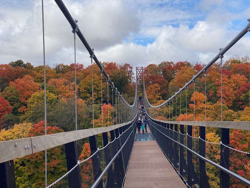 Fall Colors and Christmas Lights: When Timing Changes Everything Fall Colors and Christmas Lights: When Timing Changes Everything