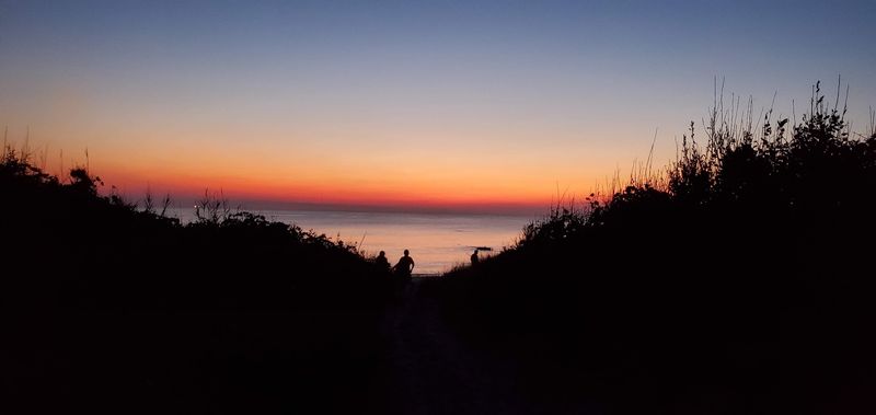 Fall Migration Turns the Sky Into the Main Attraction