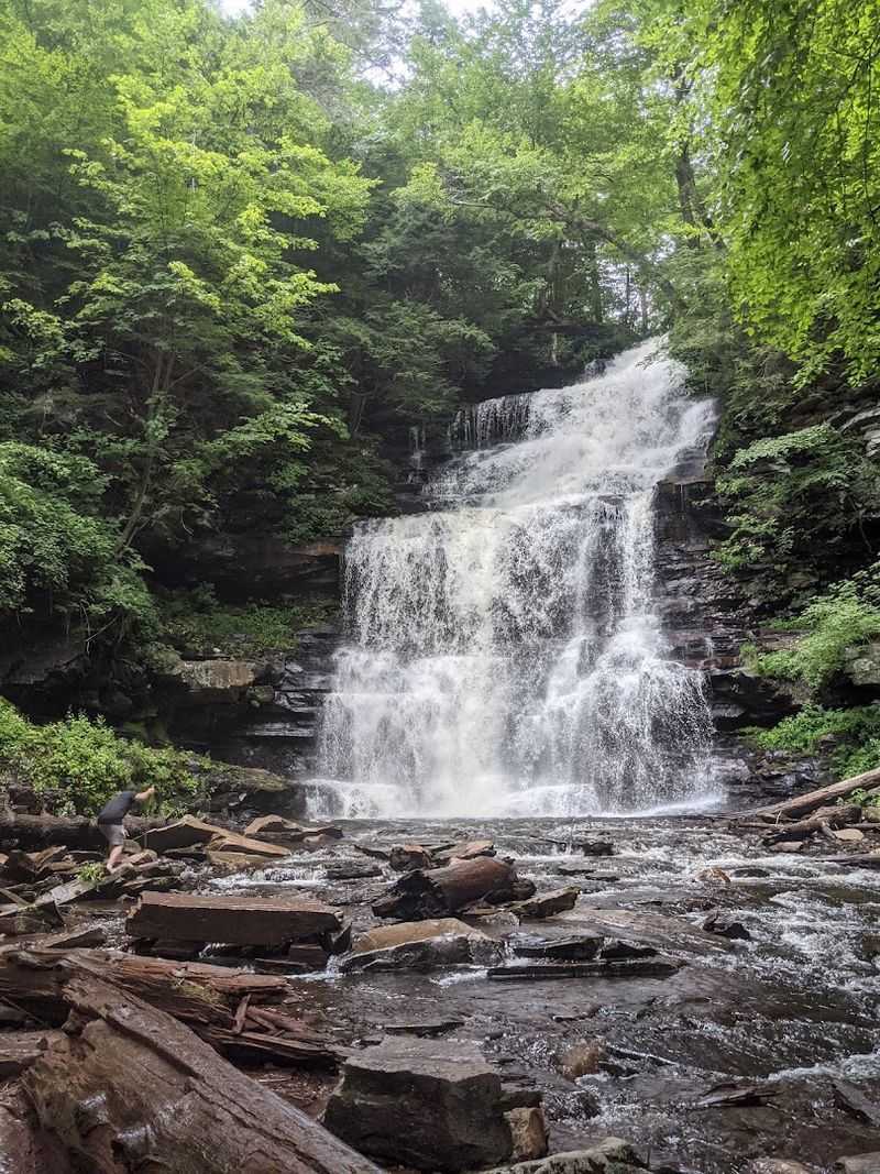 Falls Trail, Ricketts Glen State Park, Benton, Pennsylvania