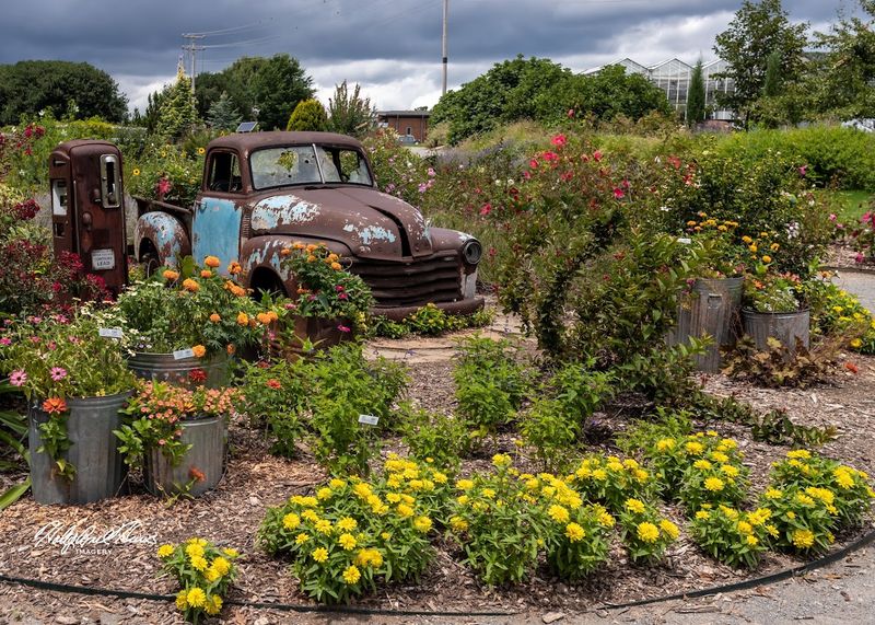 Families, Photographers, And Nature Lovers Can All Enjoy The Visit