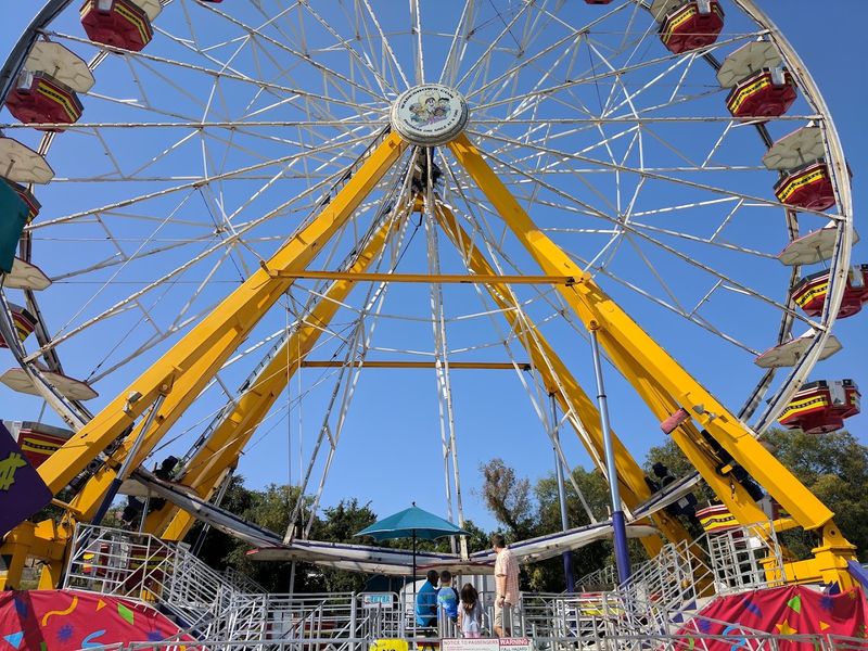 Family-Friendly Shows and Activities Fill the Day