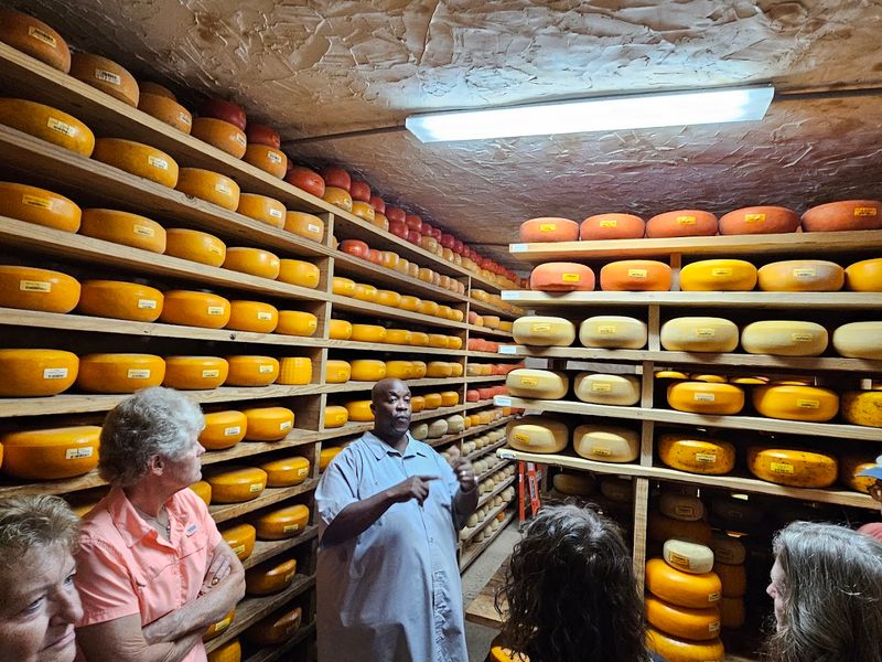 Farm Tours That Show You Where Your Cheese Comes From Farm Tours That Show You Where Your Cheese Comes From