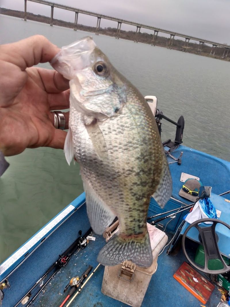 Fishing Opportunities for All Skill Levels Fishing Opportunities for All Skill Levels