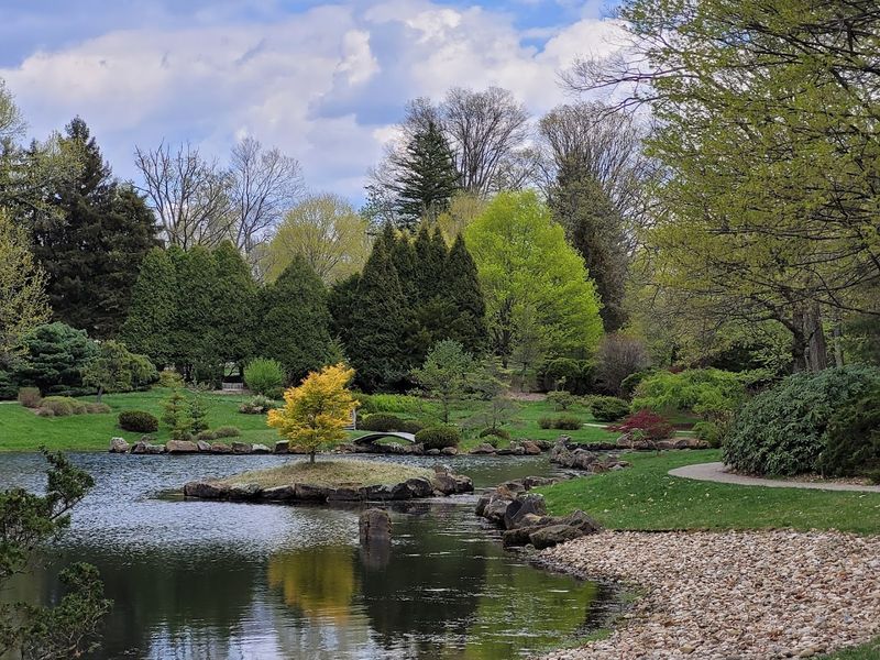 Flowering trees and standout plant collections Flowering trees and standout plant collections