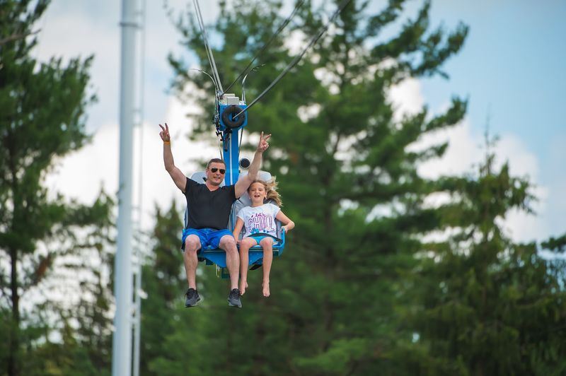 Flying side by side through the treetops Flying side by side through the treetops