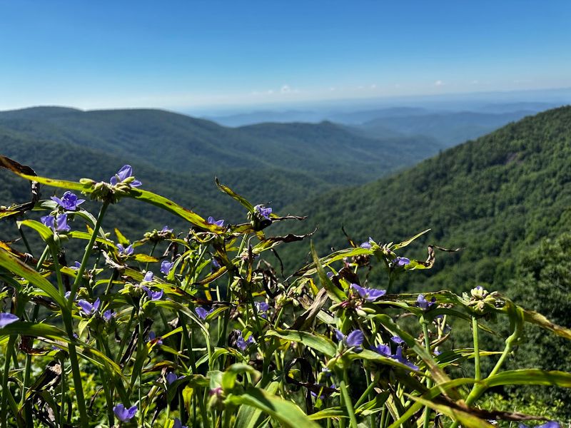For Hikers Wanting Bigger Views