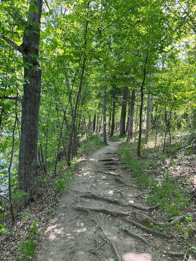 Forest paths and abandoned railroad beds make it easy to disappear into nature