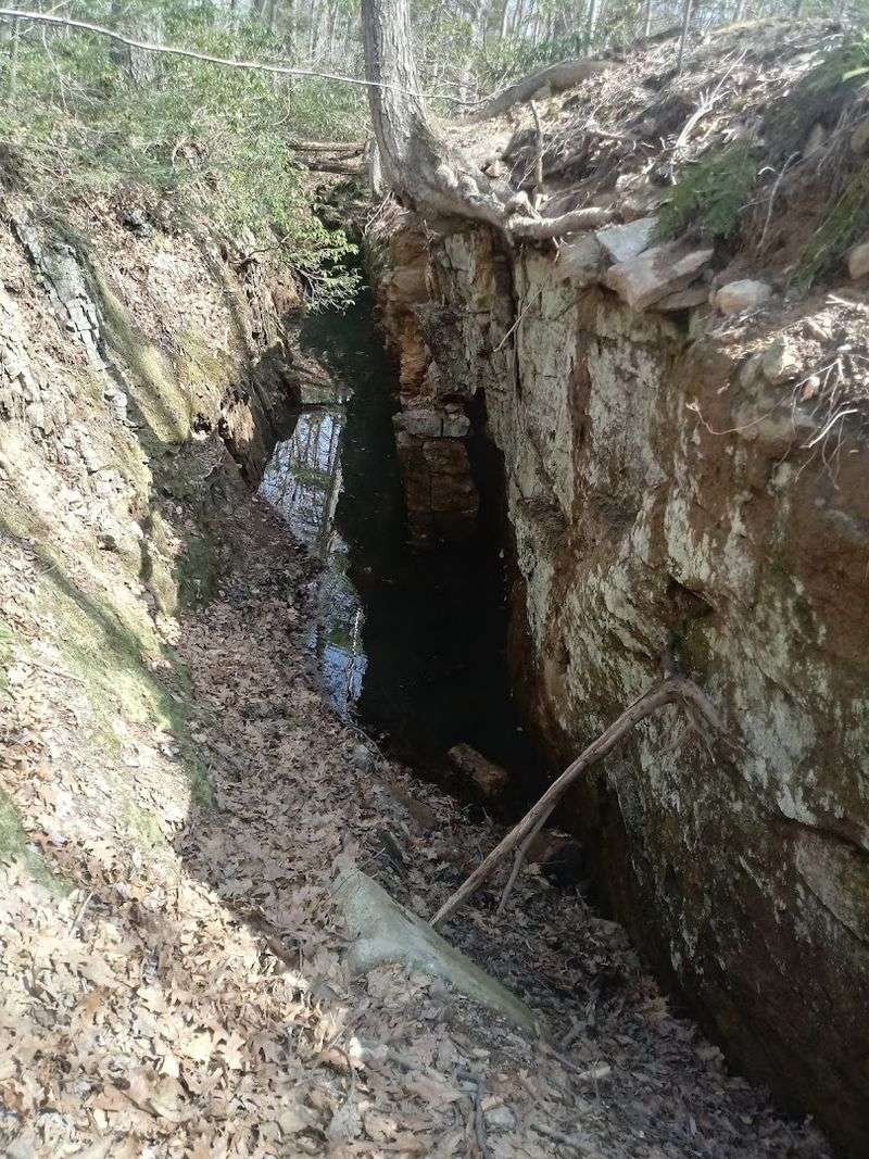 Forest trails now wind past abandoned rail beds foundations and flooded mine pits