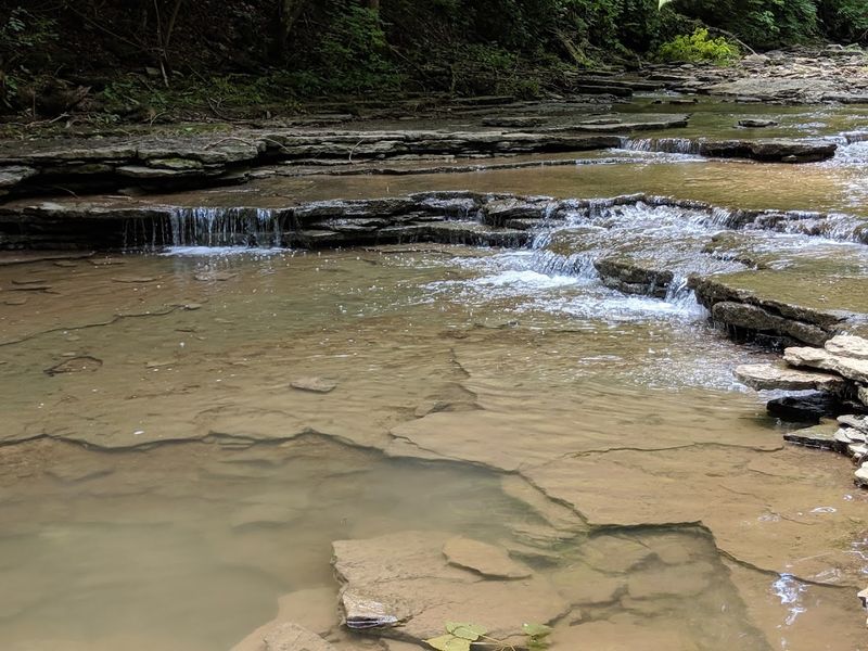 Fossils, Creeks, And Small Discoveries Along The Way Fossils, Creeks, And Small Discoveries Along The Way