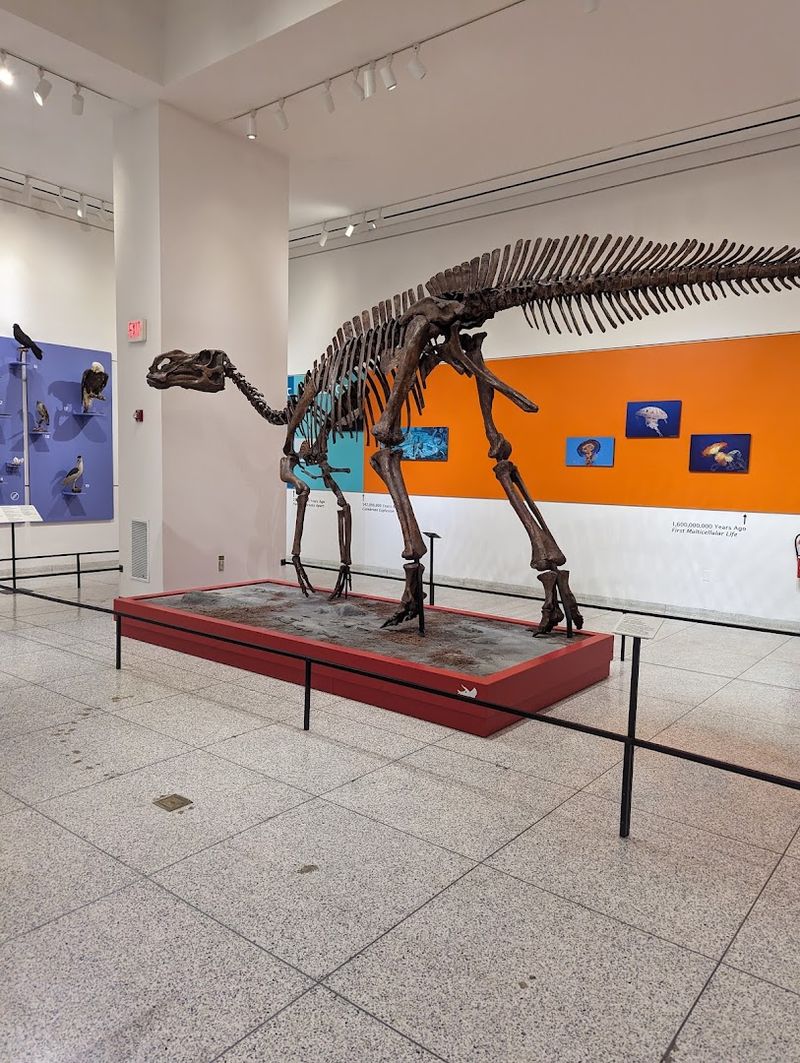 Fossils, Minerals, and Prehistoric Creatures Reveal the State’s Ancient Past