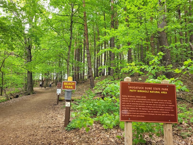 Four Trails, One Park, Wildly Different Experiences