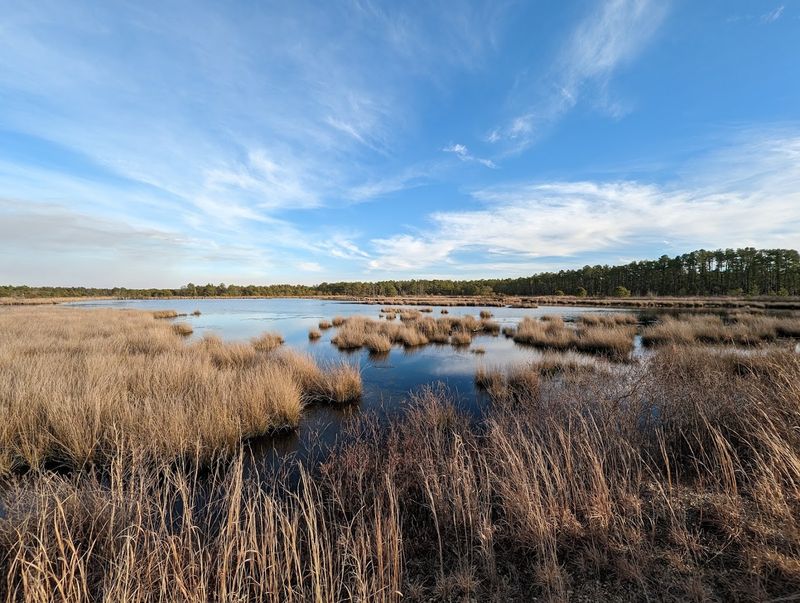 Franklin Parker Preserve - Chatsworth Franklin Parker Preserve - Chatsworth