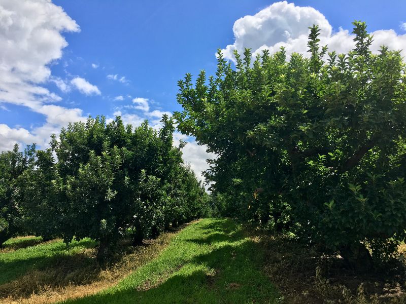 Frecon Farms (Boyertown) Frecon Farms (Boyertown)