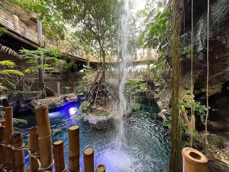 Free-Flying Birds Create An Immersive Jungle Atmosphere Free-Flying Birds Create An Immersive Jungle Atmosphere