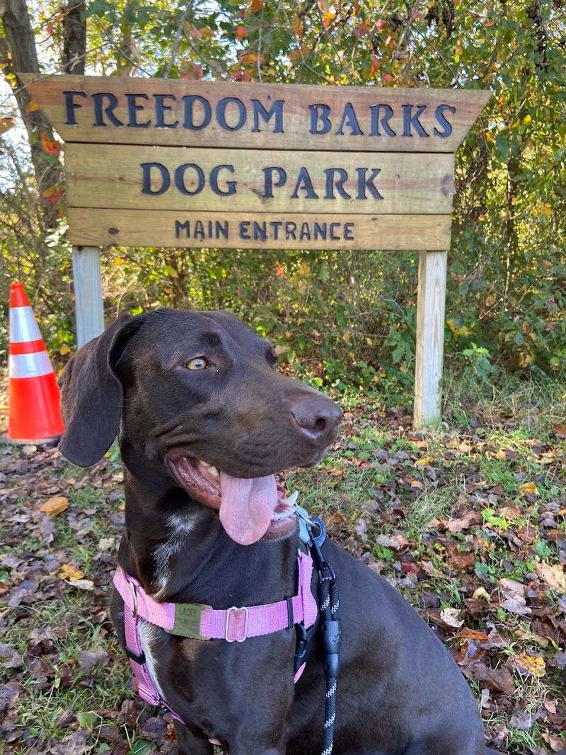 Freedom Barks Dog Park — Medford
