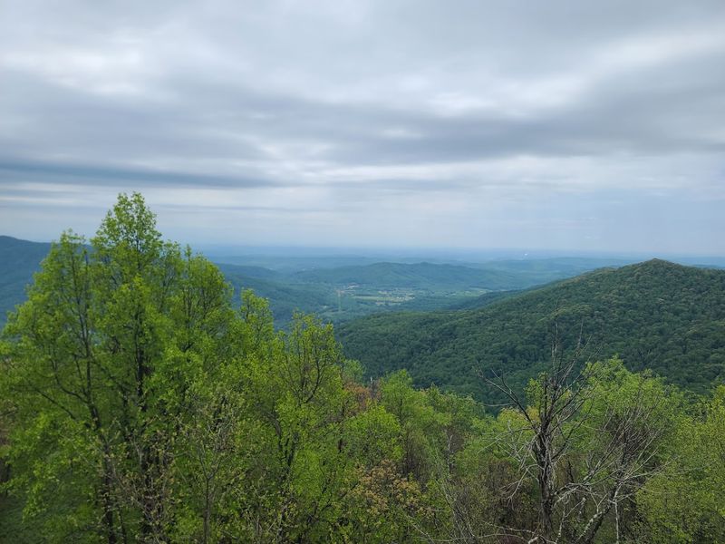 Frozen Head State Park & Natural Area, Wartburg