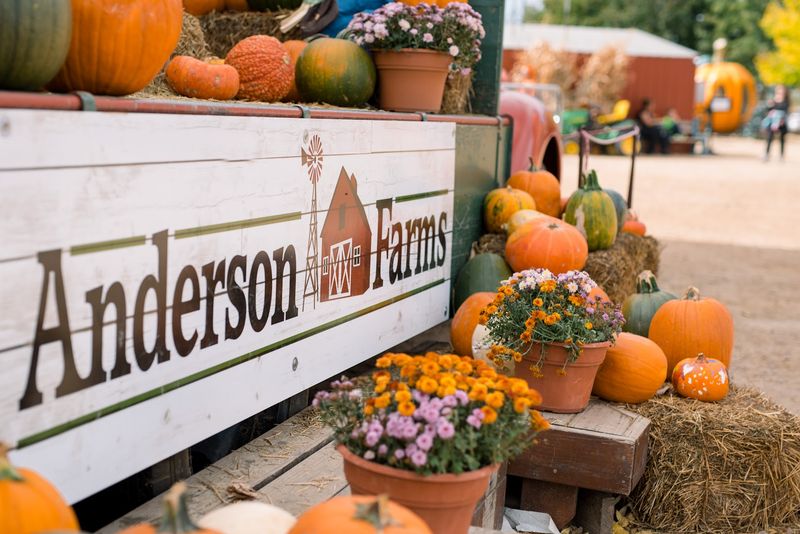 Why This Colorado Farm Works for Families Too Why This Colorado Farm Works for Families Too