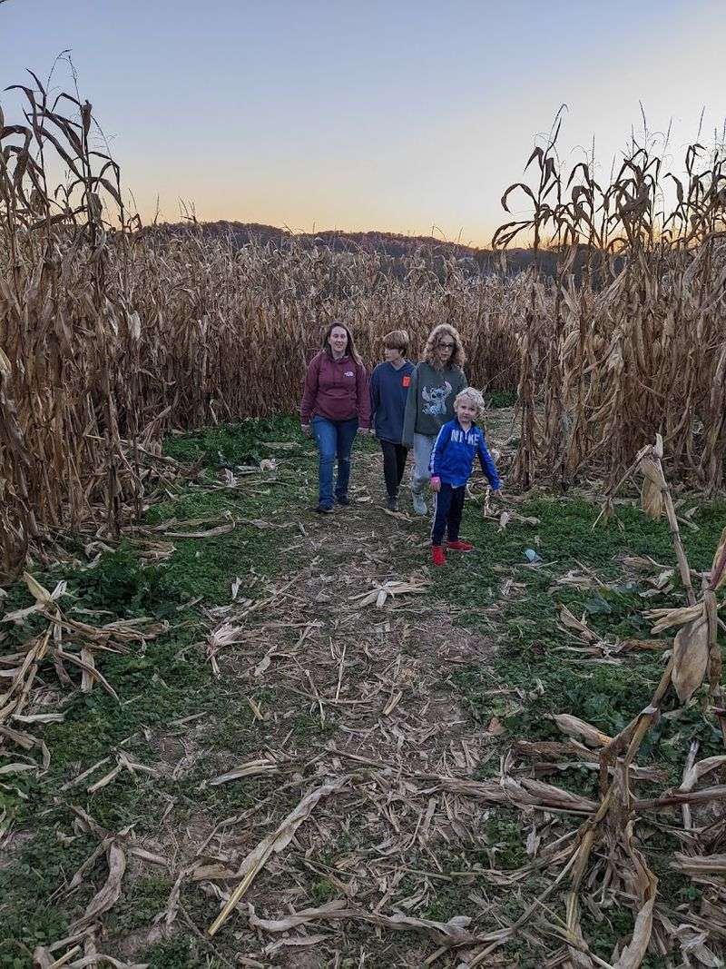 Get Lost Together in the Farm's Corn Maze Get Lost Together in the Farm's Corn Maze
