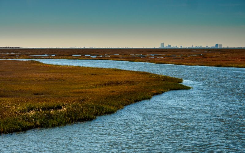 Great Bay Boulevard Wildlife Management Area — Tuckerton Great Bay Boulevard Wildlife Management Area — Tuckerton