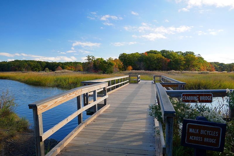 Green Trail at Cheesequake State Park — Matawan Green Trail at Cheesequake State Park — Matawan