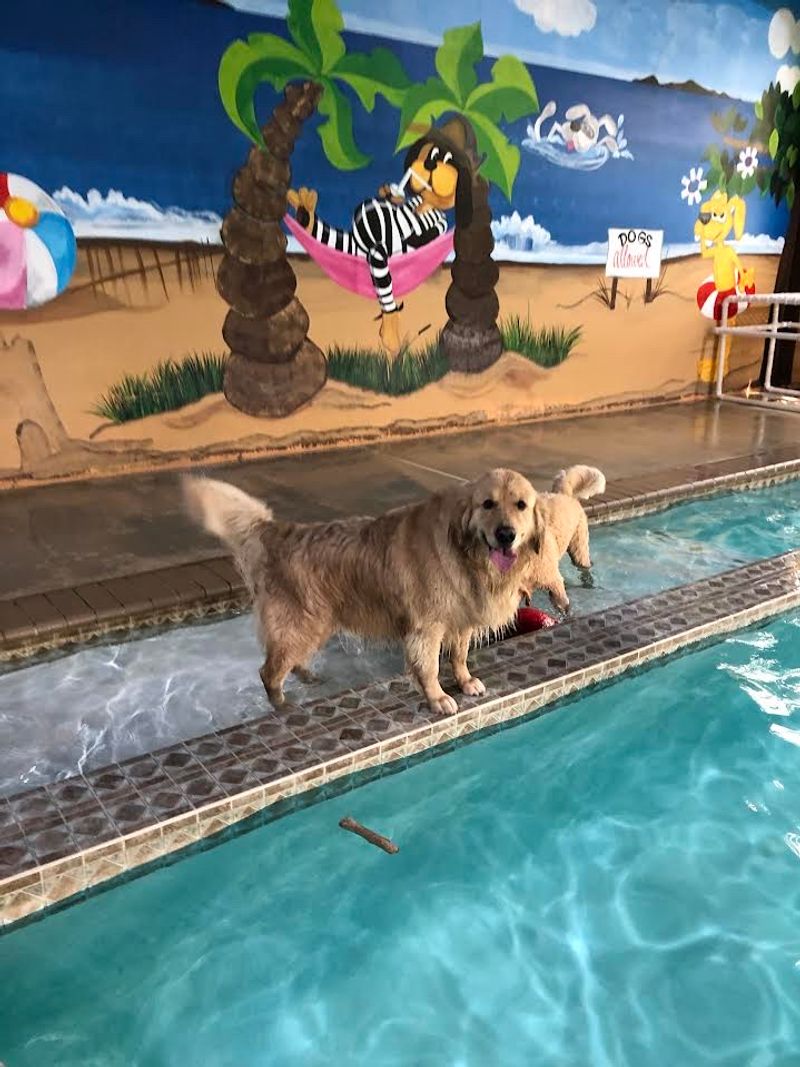 Greenleaf Pet Resort Greenleaf Pet Resort