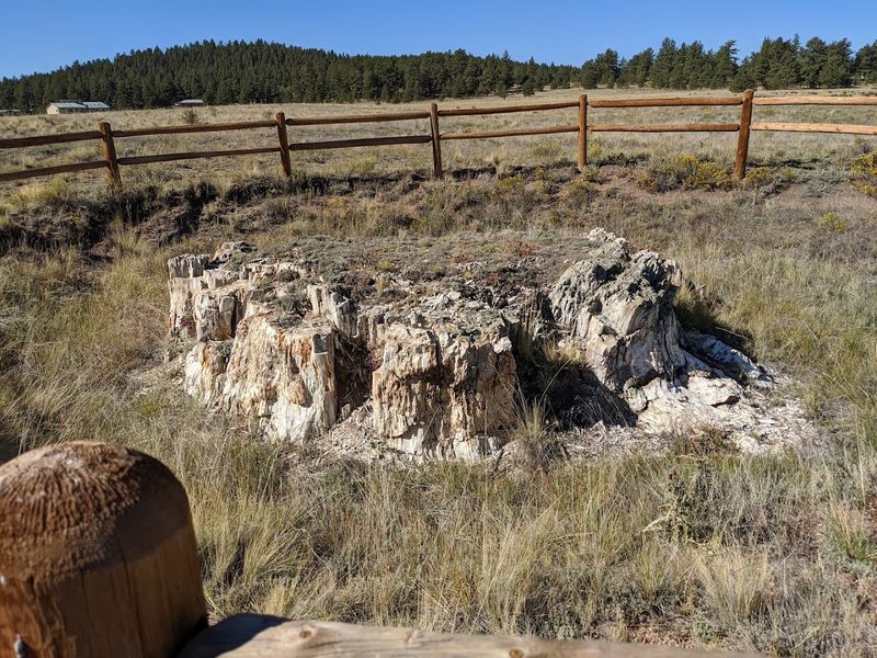 Florissant Fossil Beds National Monument Florissant Fossil Beds National Monument