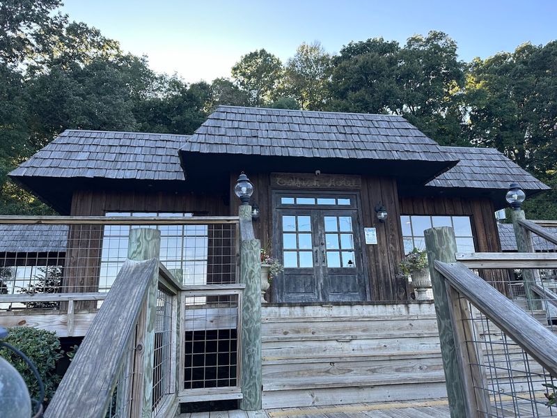 Hagy's Catfish Hotel — Shiloh Hagy's Catfish Hotel — Shiloh