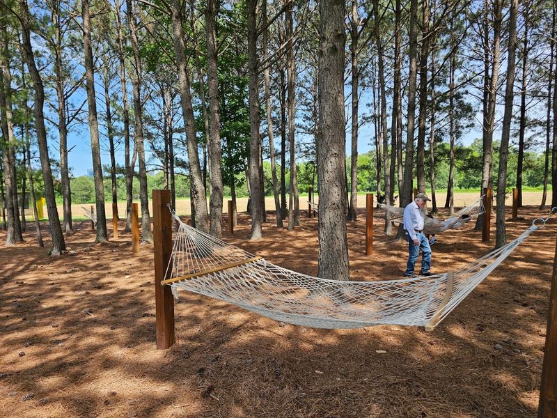 Hammocks, swings, and relaxing corners Hammocks, swings, and relaxing corners