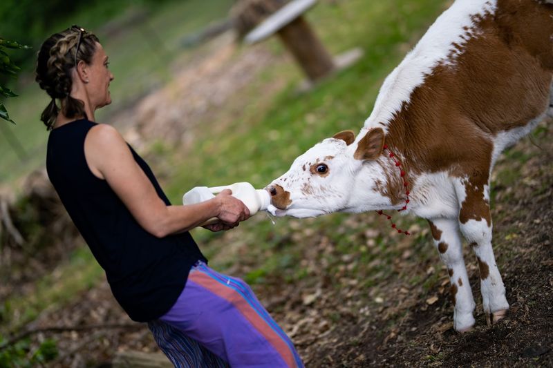 Hands-On Tours That Feel Personal Hands-On Tours That Feel Personal