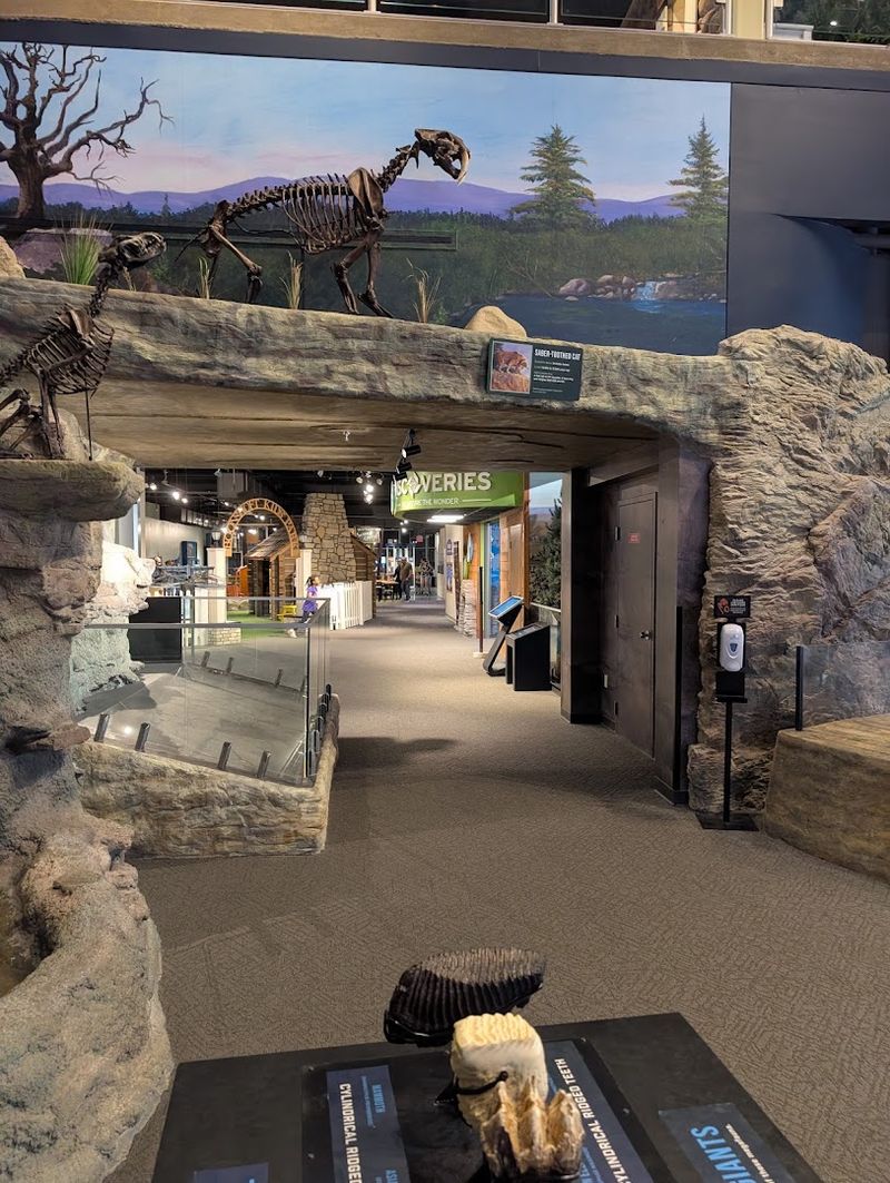 Hands-on exhibits keep kids fully engaged