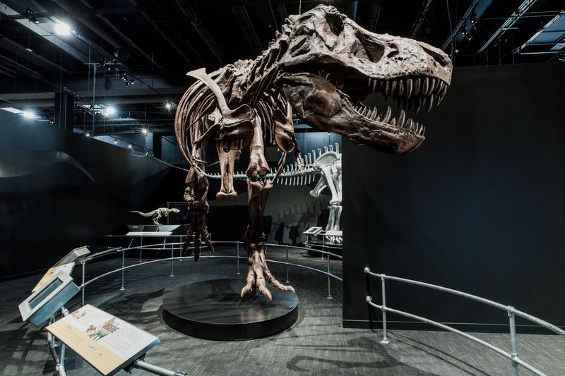Hands-on exhibits that keep kids engaged