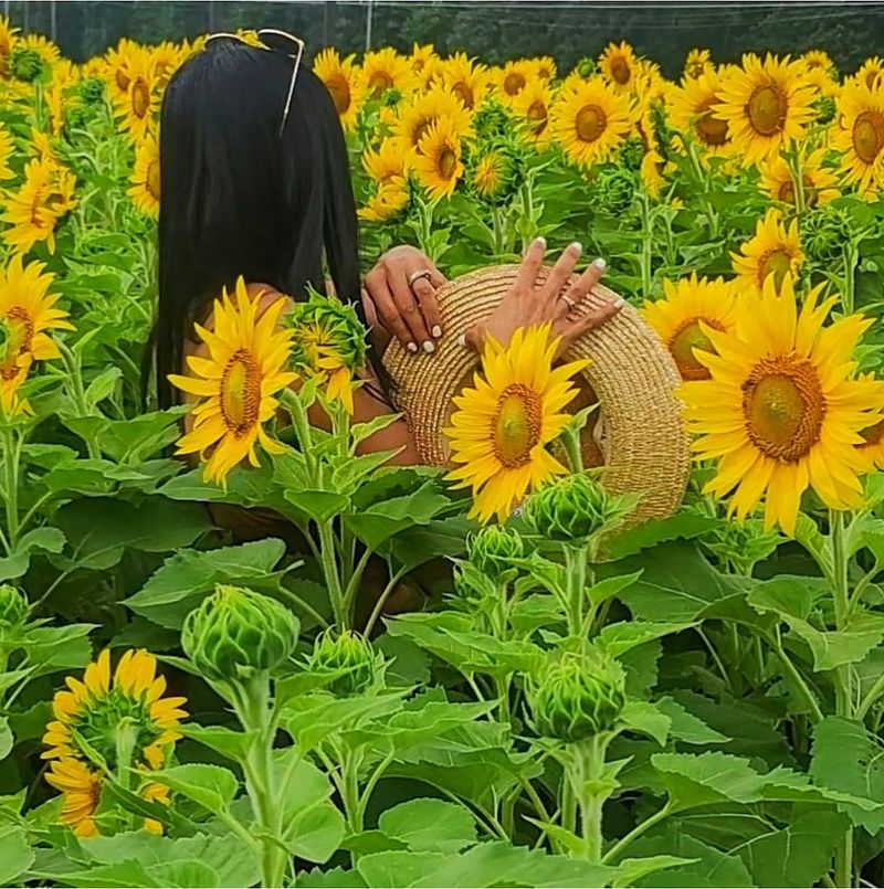 Happy Day Farm - Manalapan Happy Day Farm - Manalapan
