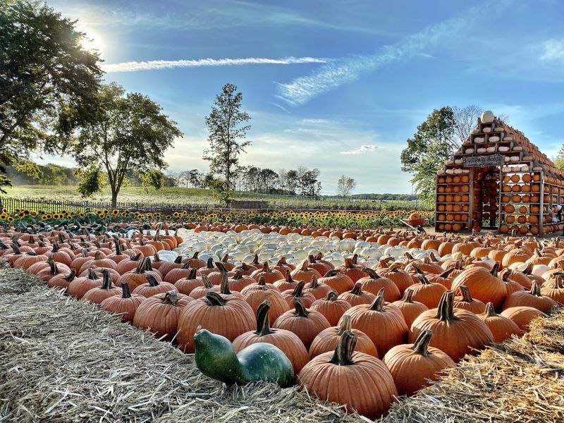 Happy Day Farm - Manalapan Happy Day Farm - Manalapan