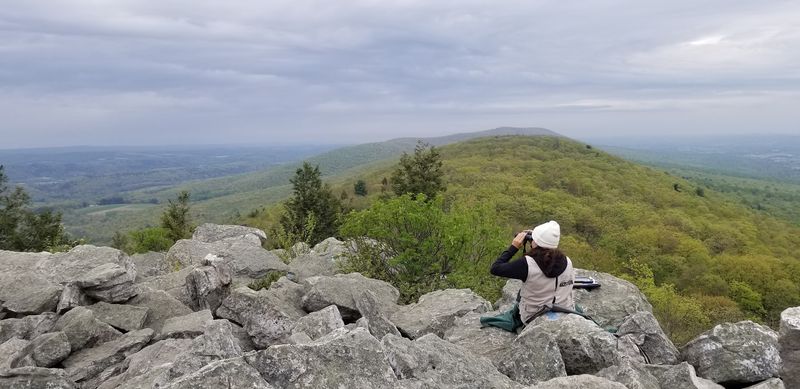 Hawk Mountain Lookout Trail, Hawk Mountain Sanctuary, Kempton, Pennsylvania