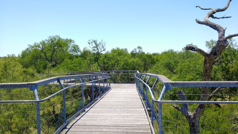 Hawk Tower Offers Unbeatable Migration Views Hawk Tower Offers Unbeatable Migration Views