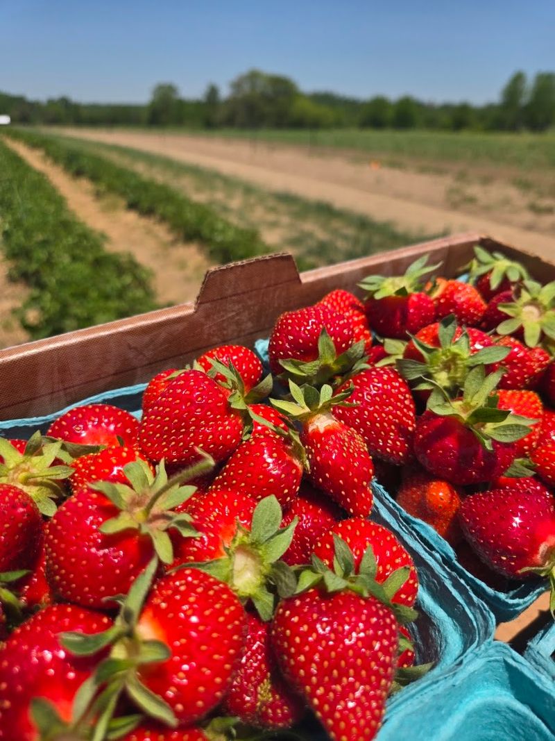 Hayrides and Seasonal Picking Make the Evening an Adventure