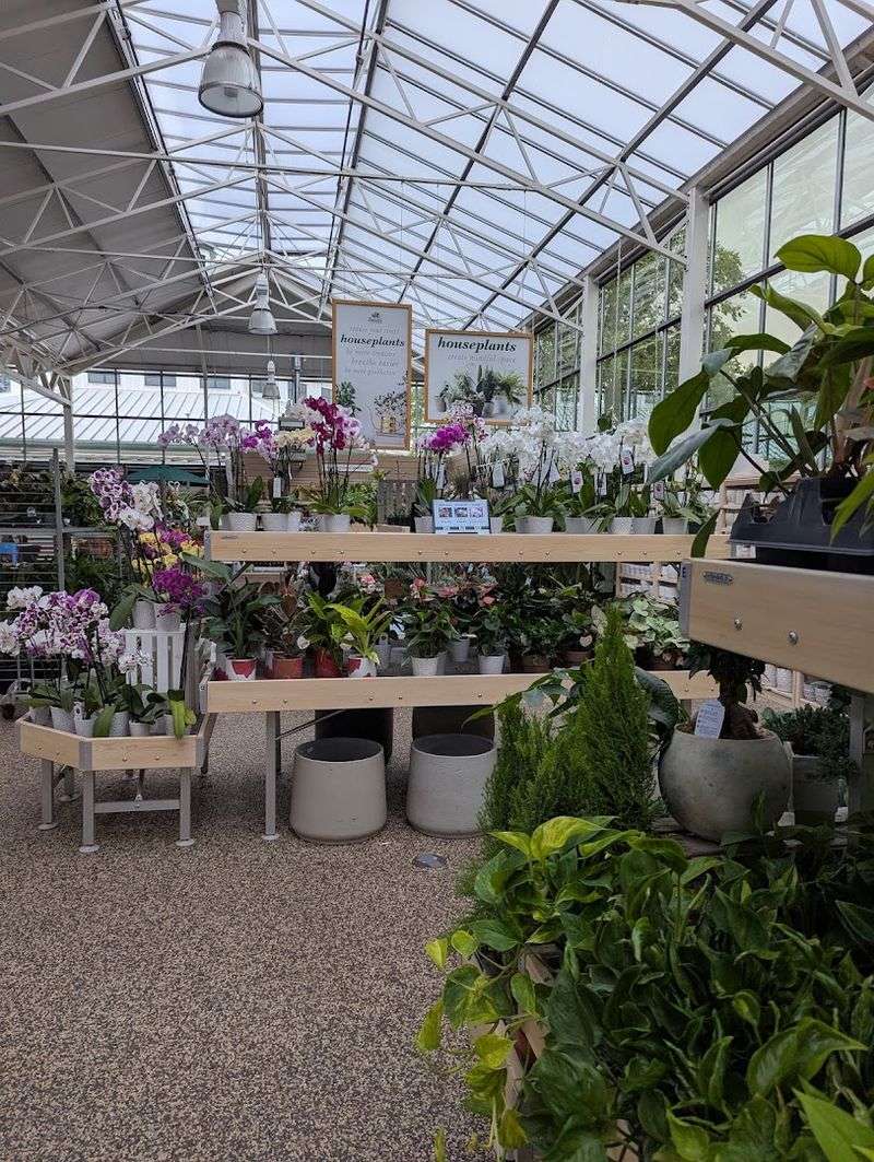 Healthy plants that justify the higher price