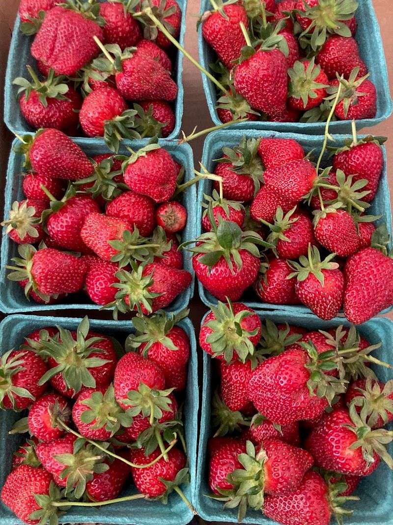 Heeks Farm
