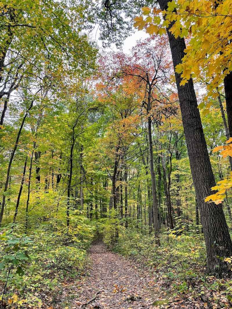 Hemlock Trail At Clear Creek Metro Park, Rockbridge Hemlock Trail At Clear Creek Metro Park, Rockbridge