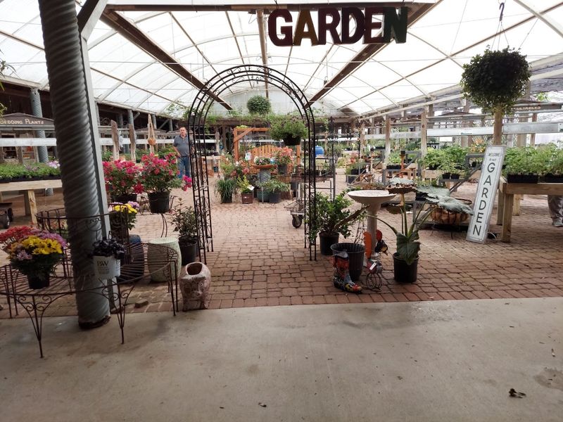 Herb Society Meetings and Garden Club Gatherings