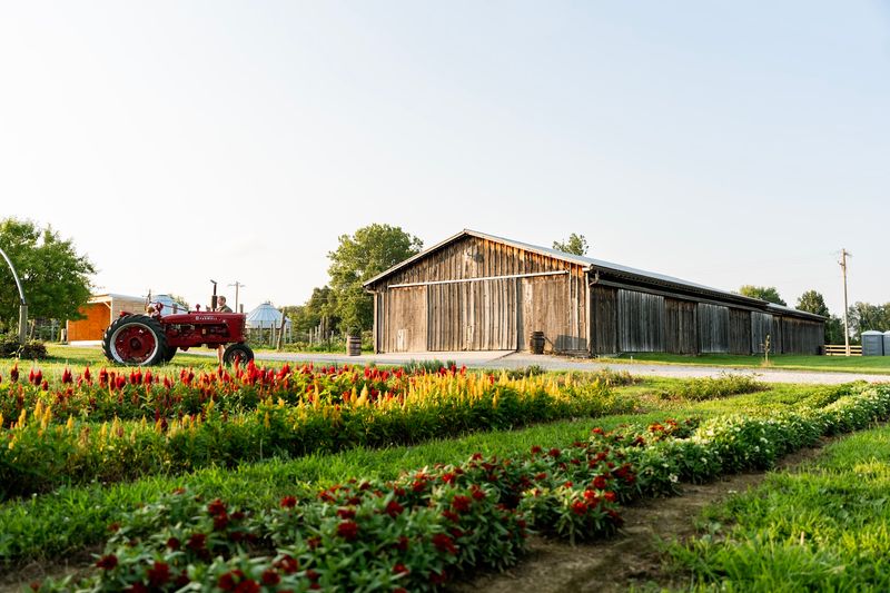 Hidden Valley Orchards, Lebanon