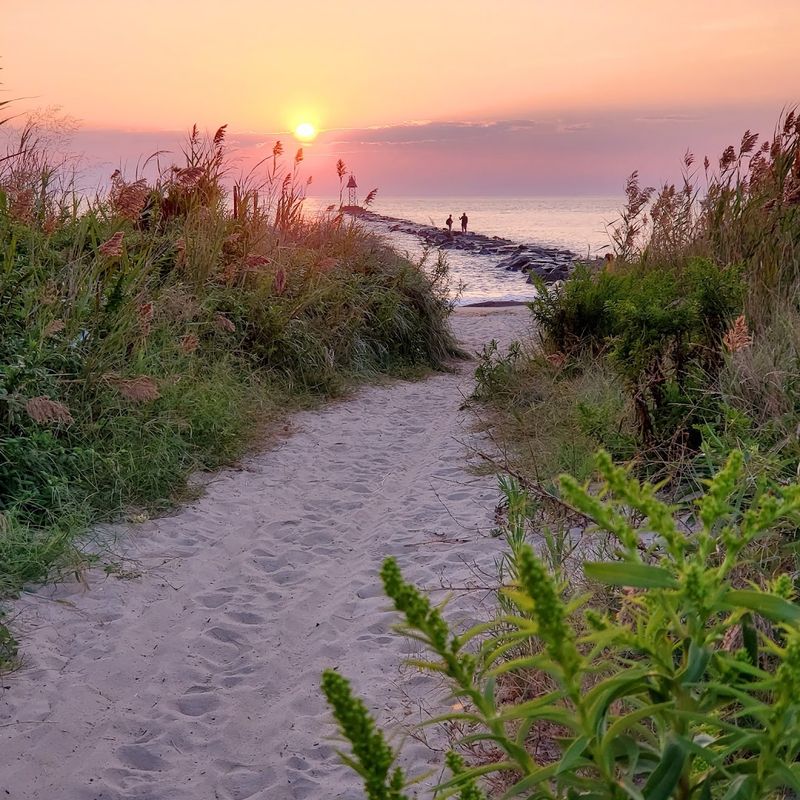 Higbee Beach Wildlife Management Area - Cape May Higbee Beach Wildlife Management Area - Cape May