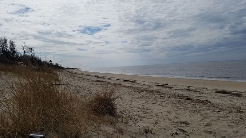 Higbee Beach Wildlife Management Area - Lower Township
