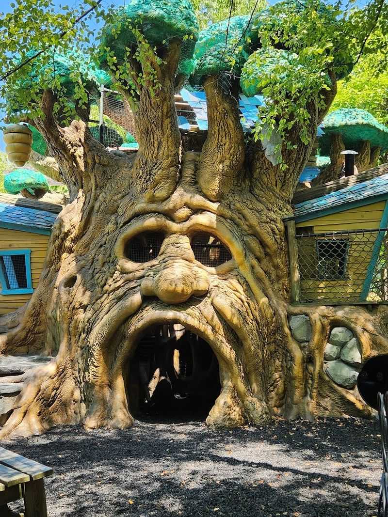 Highfield Discovery Garden