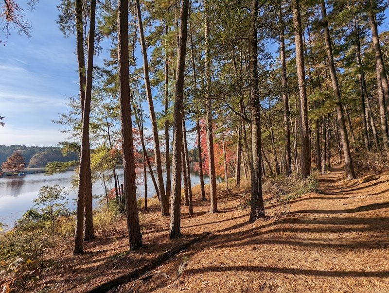 Hike The Rustling Leaves Trail Hike The Rustling Leaves Trail