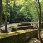 Hike Through Tennessee's Forgotten Mining Country On This Historic Railroad Trail