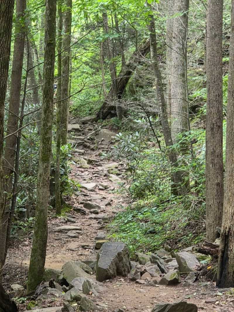 Hike Trails That Feel More Rugged Than Most Weekend Walks Hike Trails That Feel More Rugged Than Most Weekend Walks