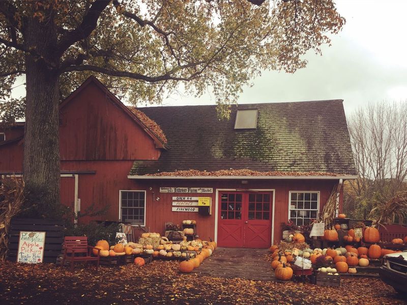 Hillview Farms - Gillette