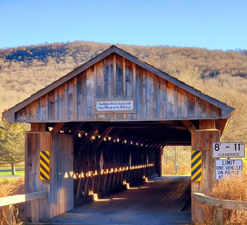 Historic Fitch’s Covered Bridge (Delhi) Historic Fitch’s Covered Bridge (Delhi)
